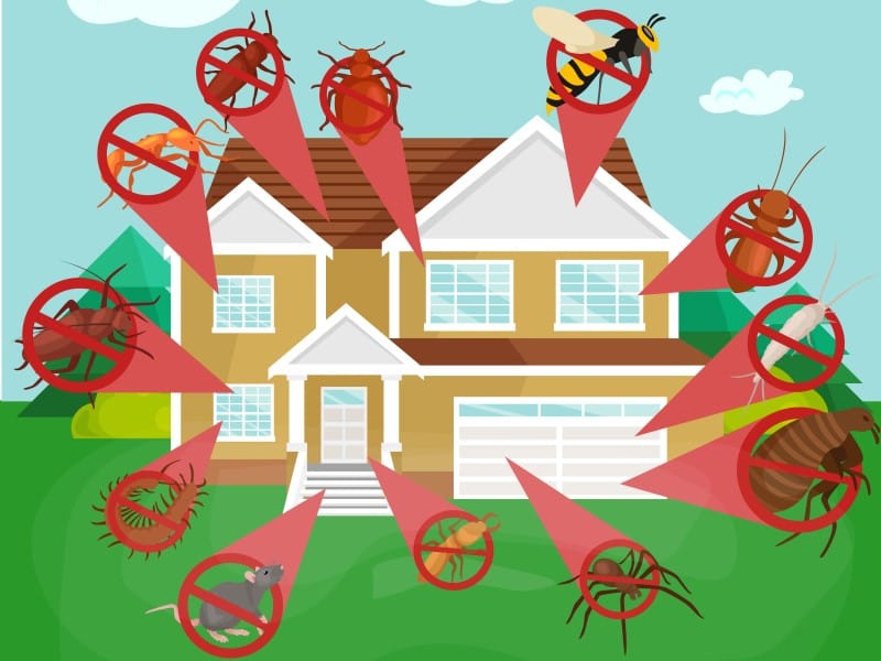 Exterminateur Joliette Lanaudière