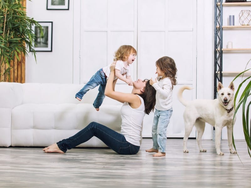 Exterminateur Joliette Lanaudière