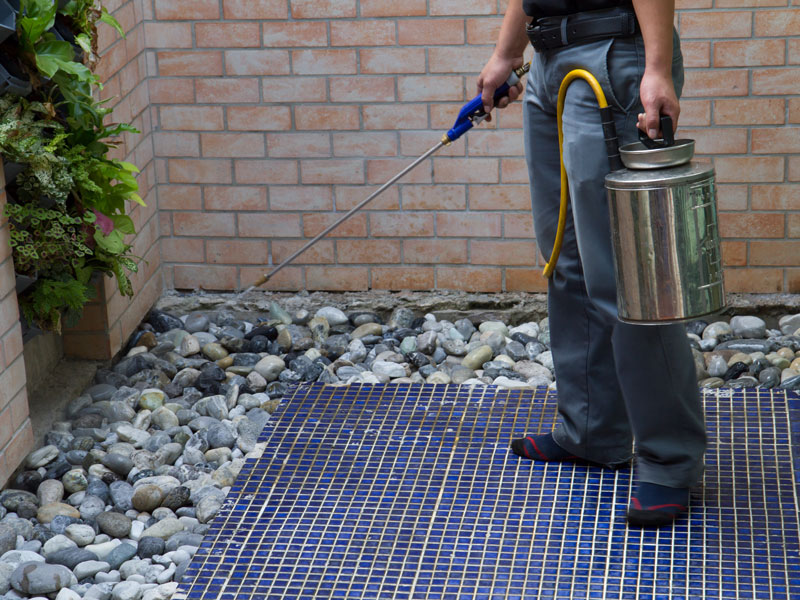 Exterminateur Mascouche