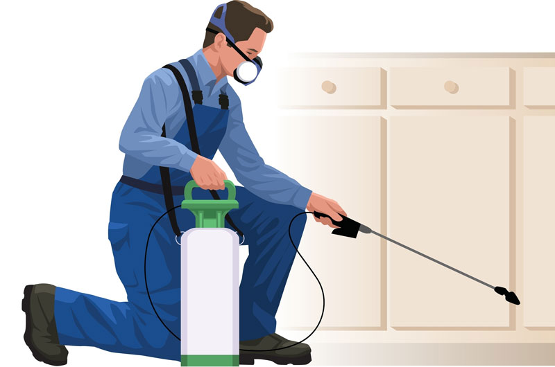 Exterminateur Mascouche