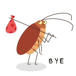 Extermination coquerelle Joliette Lanaudière