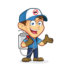 Gestion parasitaire Joliette Lanaudière