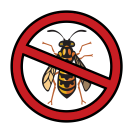 Exterminateur guepe Joliette Lanaudière