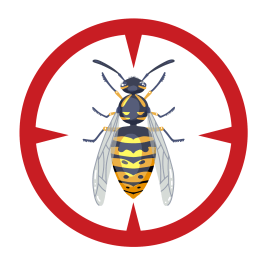 Exterminateur guepe Joliette Lanaudière