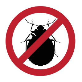 Exterminateur punaise de lit Joliette Lanaudière