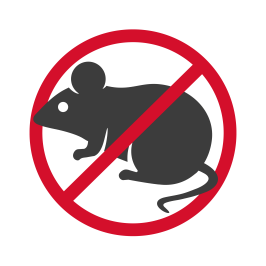 Exterminateur souris Joliette Lanaudière